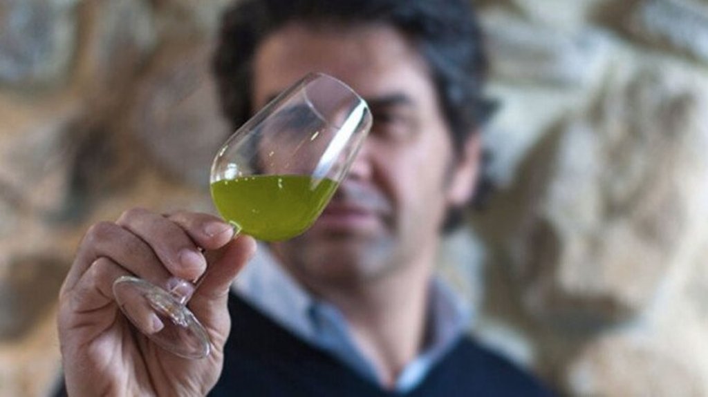 Ein Mann beobachtet die Farbe des Olivenöls in einem Glas